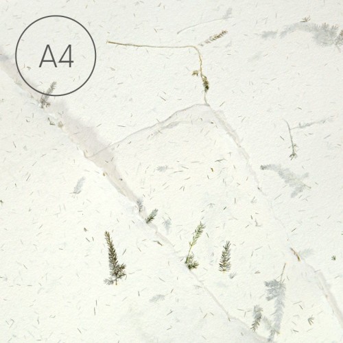 Papier czerpany gładki A4 - Asparagus