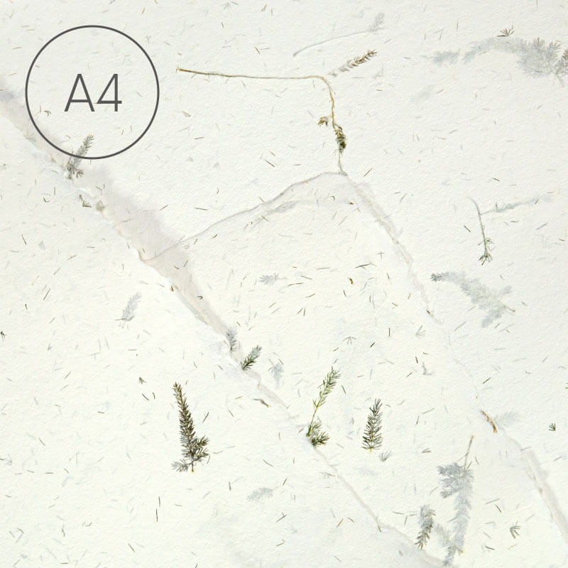 Papier czerpany gładki A4 - Asparagus 02