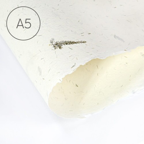 Papier czerpany gładki A5 - Asparagus