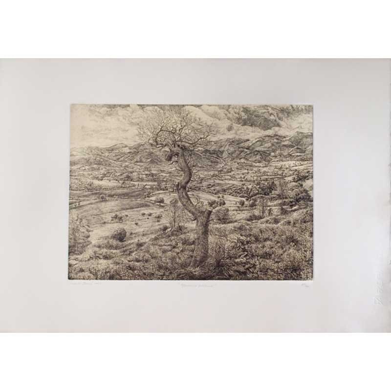 Papier-Fabriano-Rosaspina-280-g-70x100-cm-Bianco-3-szt-03