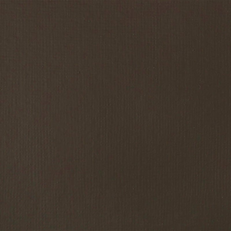 Farba akrylowa Liquitex Basics Acrylic Fluid 118 ml - 331 Raw Umber 02