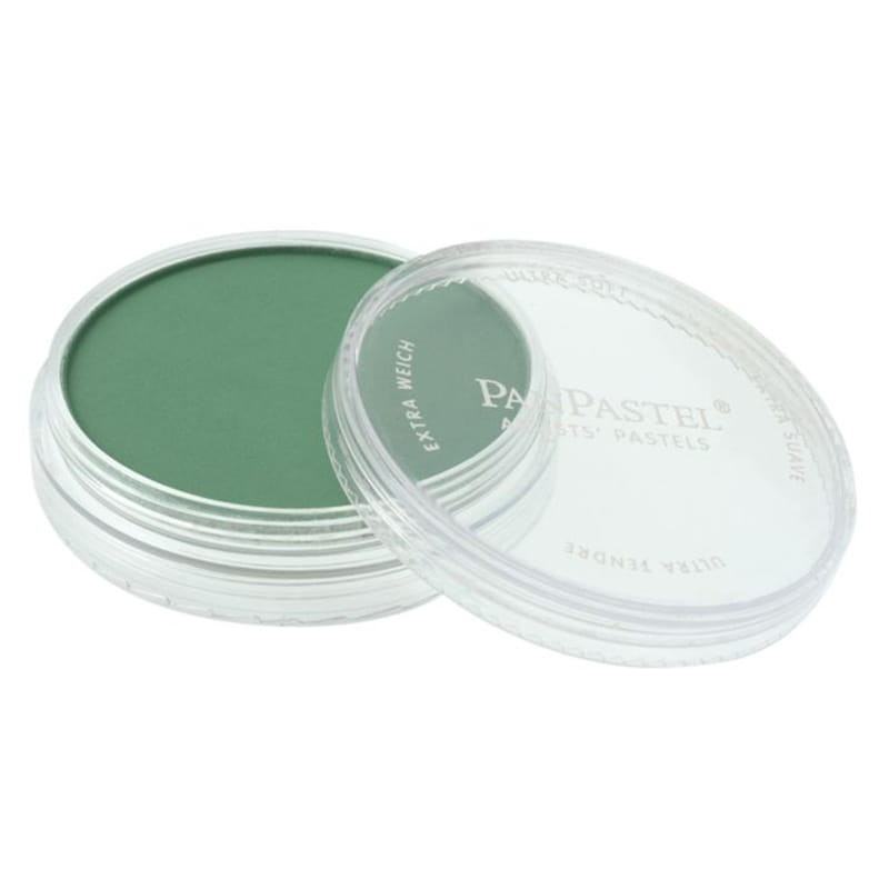 panpastel-9ml-chromium-permanent-green-shade-640-3.jpg