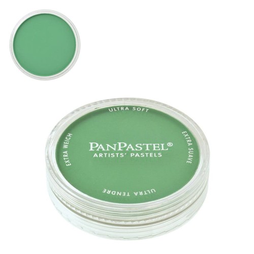 Pastela sucha PanPastel 9 ml - Permanent Green 640.5