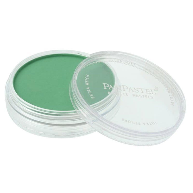 panpastel-9-ml-permanent-green-640-5-01.jpg