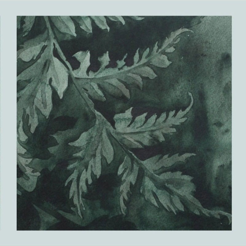 Farba-akwarelowa-Biale-Noce-kostka-761-taiga-mist-03