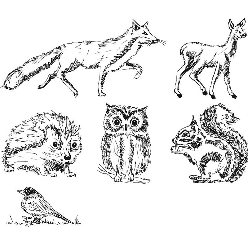 Stemple Heyda zestaw 6 szt. + tusz w sztyfcie Zwierzęta leśne 02