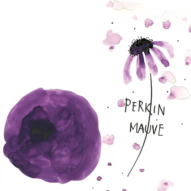 Atrament Kuretake Ink-Café Art Nouveau 21 ml 538 Perkin Mauve  02