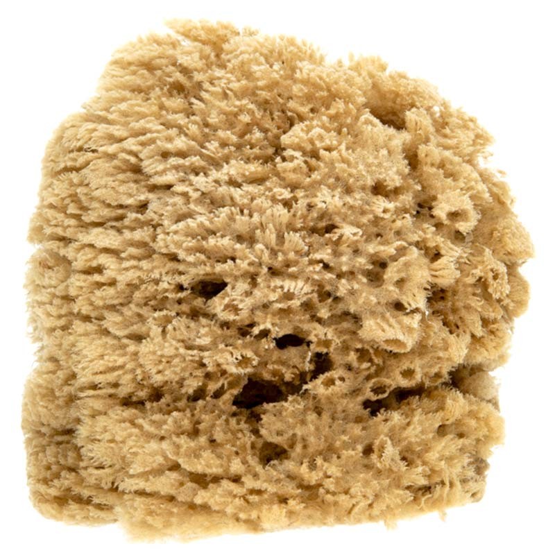 gabka-naturalna-kereso-jumbo-coarse-02