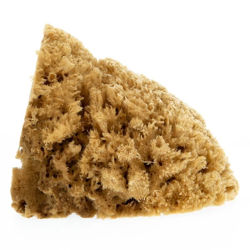 gabka-naturalna-kereso-large-coarse-02