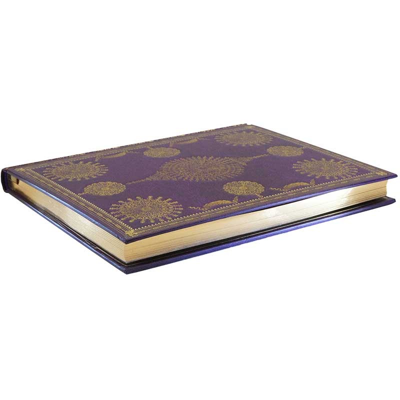 Notatnik-Peter-Pauper-Press-złocony-19-x-23-cm-linie-Wersal-03