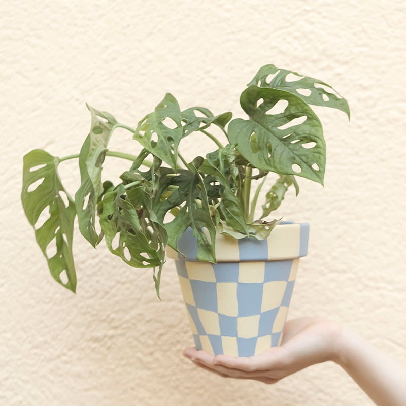 Farba-Indoor-&-Outdoor-Opaque-Art-Creation-250-ml-4032-Rusty-red-02