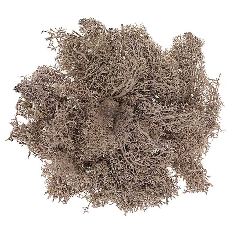 Mech dpCraft 30 g brązowy 01