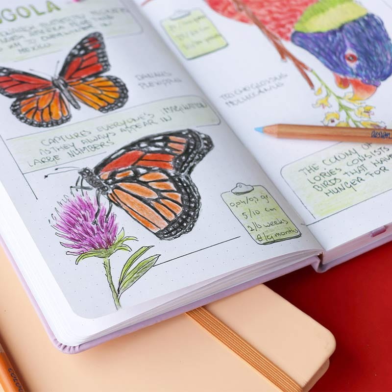 Bullet Journal Bruynzeel Peach - 13 x 21 cm, 140 g, 64 ark.