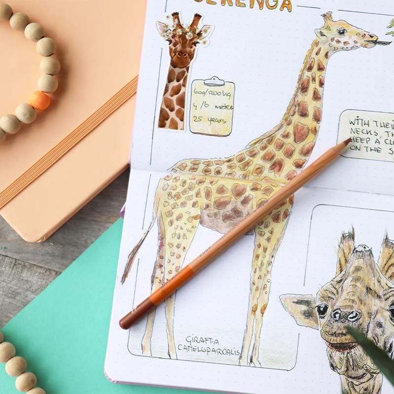 Bullet Journal Bruynzeel Peach - 13 x 21 cm, 140 g, 64 ark.