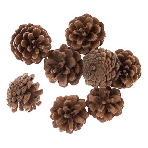 Szyszki naturalne dpCraft 8 szt.