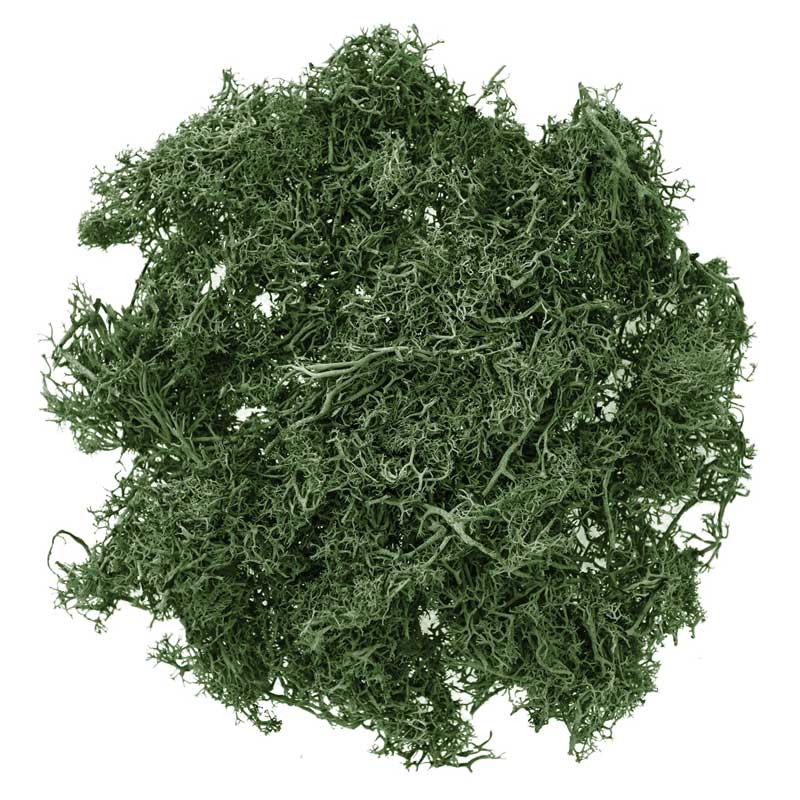 Mech dpCraft 30 g ciemnozielony 01