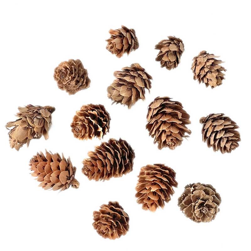 Mini szyszki dpCraft 25 g naturalne 01