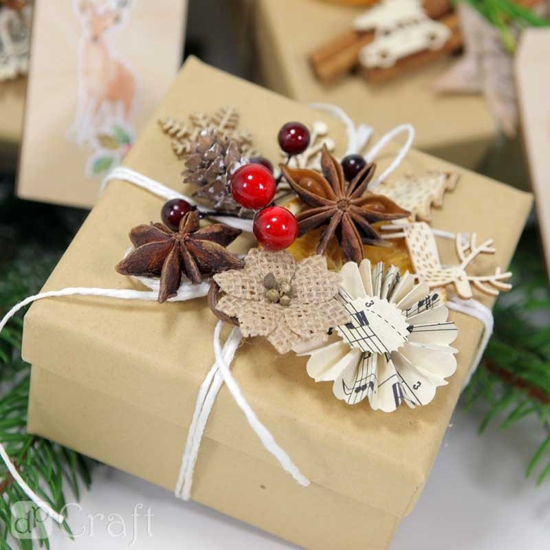 Anyż naturalny ozdobny dpCraft 20 szt. 04