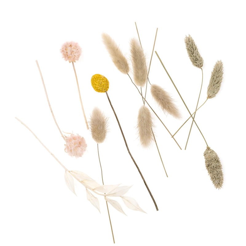 mini-bukiet-suszonych-kwiatow-dpcraft-20-cm-beige-touch-01