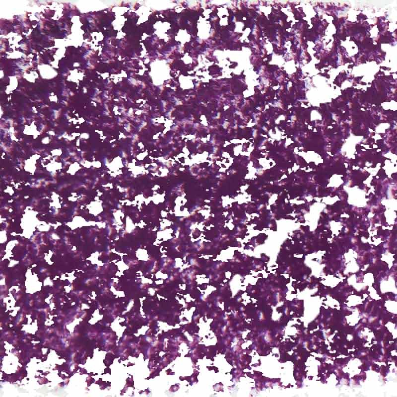 134-Eggplant-Purple-01.jpg