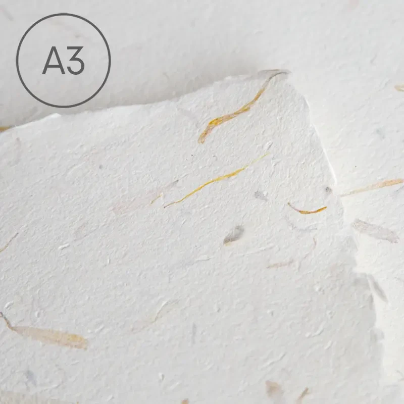 Papier czerpany z kwiatami A3 gładki Nagietek 01