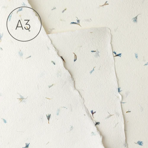 Papier czerpany z kwiatami A3 gładki Bławatek