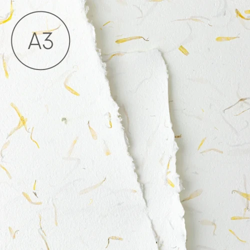 Papier czerpany z kwiatami A3 gładki Nagietek