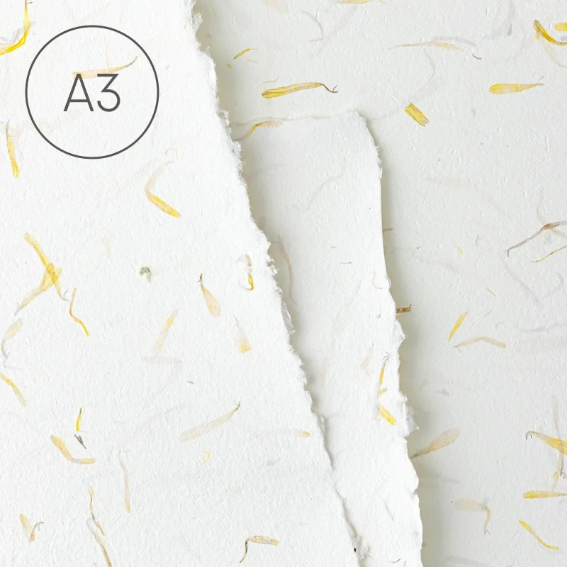 Papier czerpany z kwiatami A3 gładki Nagietek 02