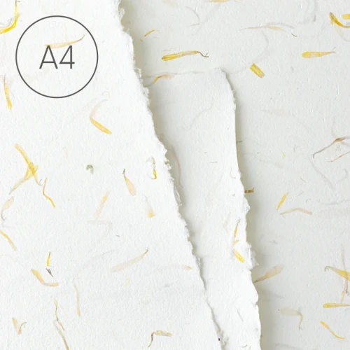 Papier czerpany gładki A4 - Nagietek