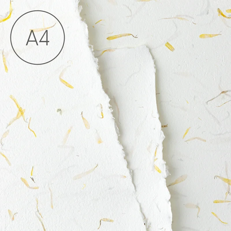 Papier czerpany gładki A4 - Nagietek 01