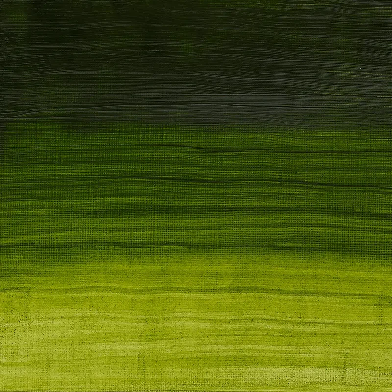 Farba olejna Winsor & Newton Artisan water mixable 37 ml – 503 Permanent Sap Green 02