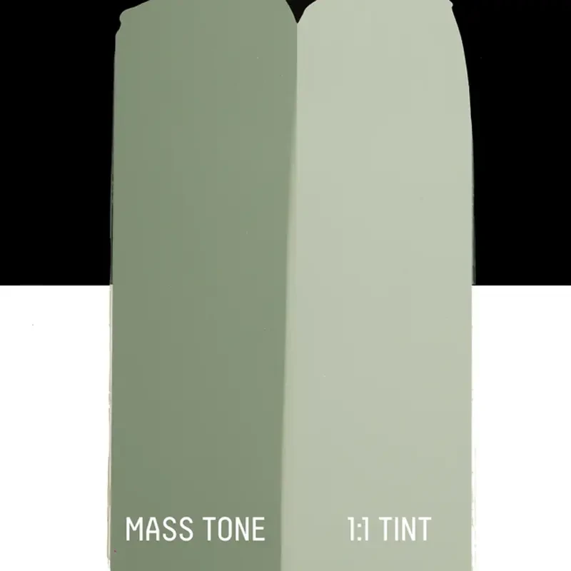 Farba akrylowa Liquitex Basics Acrylic 118 ml - 205 Green gray 06