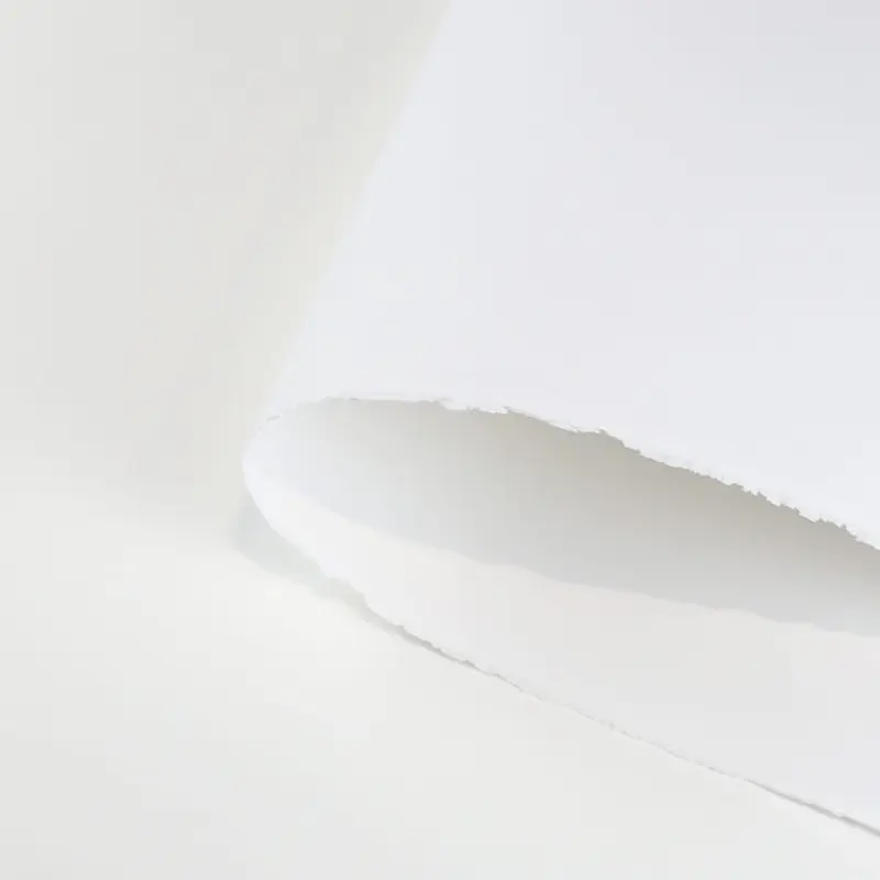 Papier graficzny Canson Edition Extra biały - 56 x 76 cm, 250 g, 5 ark. 01