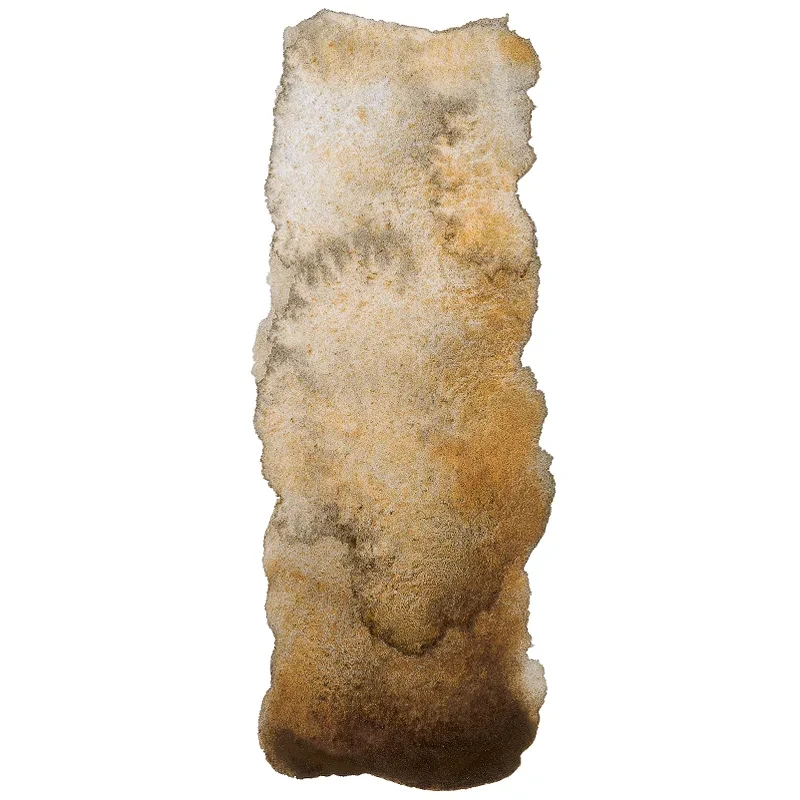 Farba akwarelowa Schmincke Horadam Aquarell półkostka - 923 Desert Brown 03