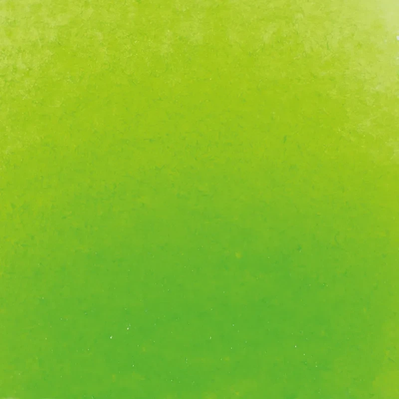 Farba akwarelowa Schmincke Horadam Aquarell półkostka - 524 May Green 02