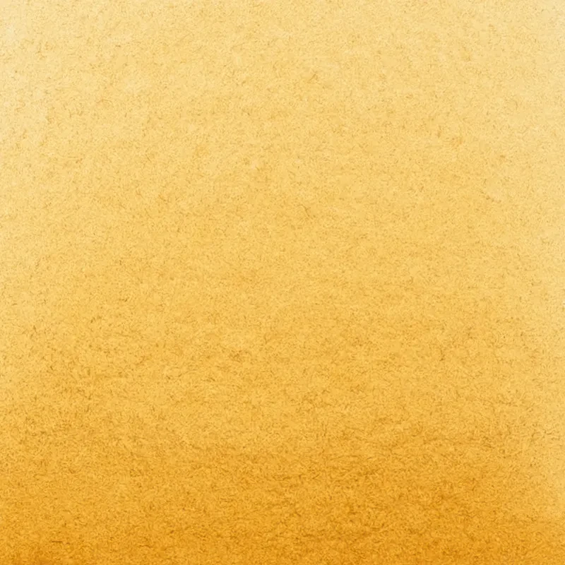 Farba akwarelowa Schmincke Horadam Aquarell półkostka - 660 Raw Sienna 02
