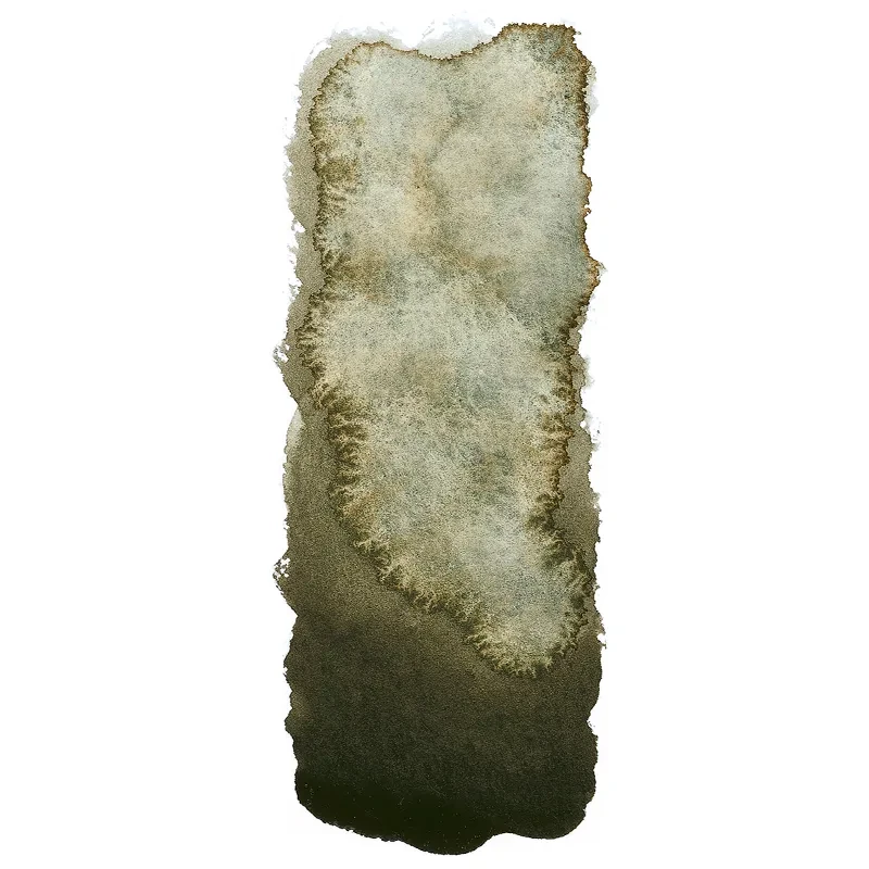 Farba akwarelowa Schmincke Horadam Aquarell półkostka - 945 Forest Grey 03
