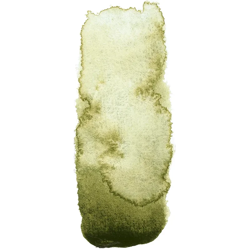 farba-akwarelowa-schmincke-horadam-aquarell-polkostka-941-forest-olive 03.webp