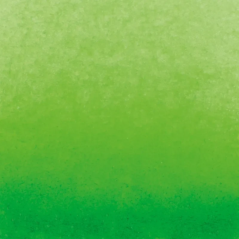 Farba akwarelowa Schmincke Horadam Aquarell półkostka - 526 Permanent Green 02