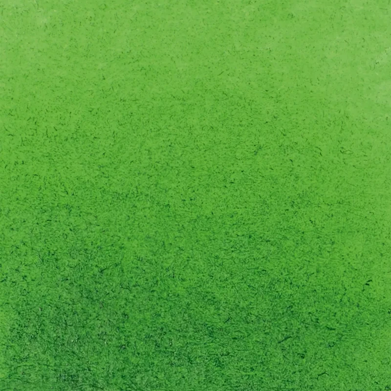 Farba akwarelowa Schmincke Horadam Aquarell półkostka - 530 Sap Green 02