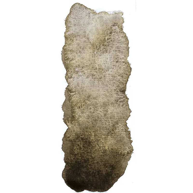Farba akwarelowa Schmincke Horadam Aquarell półkostka - 969 Haze Brown 03
