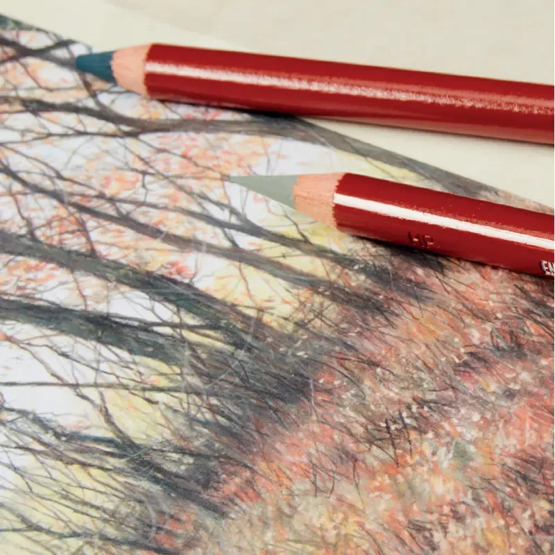 Kredka Derwent Drawing - 5140 Sage leaf 06