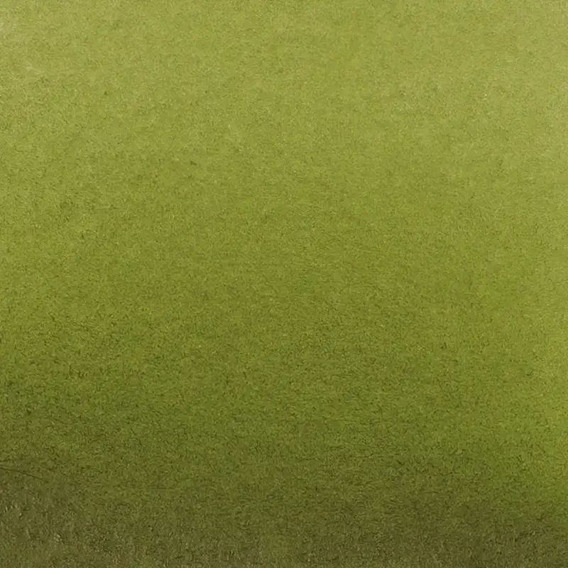 Farba akwarelowa Schmincke Horadam Aquarell półkostka - 525 Olive green yellowish 02