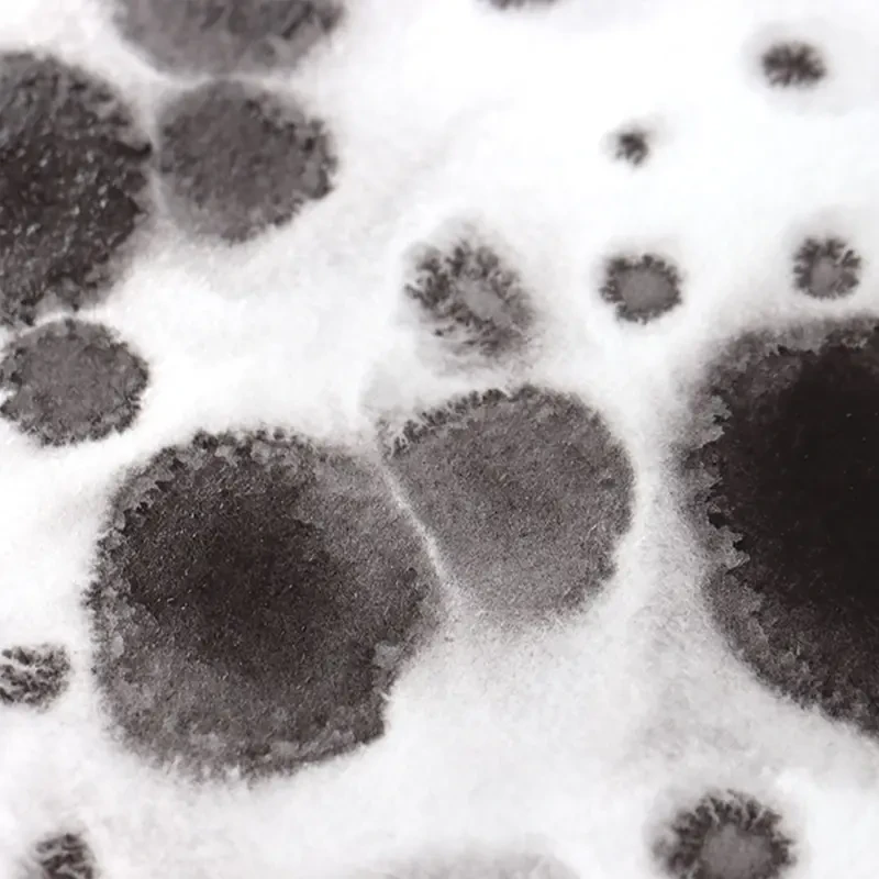 Farba akwarelowa Białe Noce kostka - 838 Chromium Irone Oxide 04