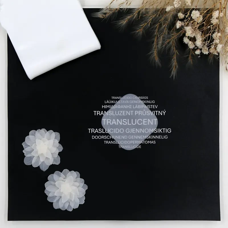 Modelina Fimo Effect Translucent Staedtler 57 g - 014 Biały przezroczysty 02