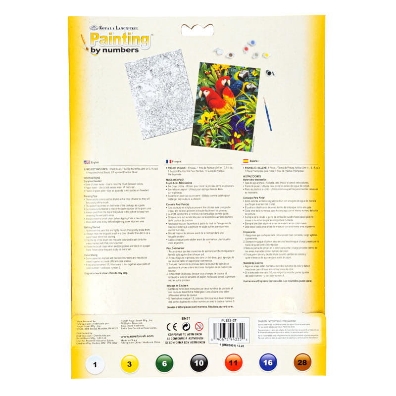 Royal & Langnickel RAIN15 Kit Incisione Per Grattacarta - Formato A4, Motivo Rana Arcobaleno, Per Artisti - 4